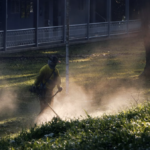 Twilight Maintenance of Under-Tree Lawns | Weed Trimming and Clearing in Wooded Areas