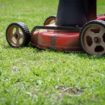 Precision Lawn Leveling and Trimming Service