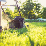Sunlit Courtyard Lawn Revitalization & Controlled-Height Mowing Service