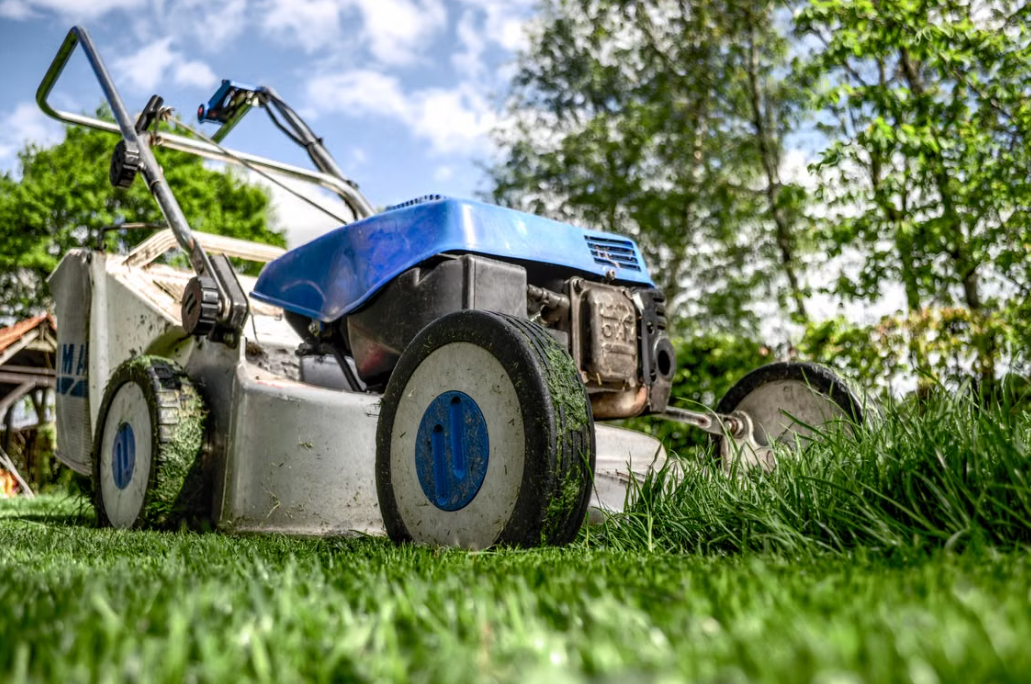 5 We provide revitalization mowing for open, sun-drenched lawns with vigorous growth, resolving issues of unruly, overgrown grass. Upon booking, simply provide details on sunlight exposure and current grass height; we then tailor a mowing plan suited to high-light environments. We strictly control the cutting height per pass to prevent "scalping" or yellowing caused by cutting too short in a single session. The process involves gradually reducing height and evenly cutting the blades to restore a neat appearance. Clippings are cleared away after the job to keep the courtyard tidy. Basic maintenance tips are included to guide future care and prolong the lawn's healthy state. Ideal for open-air courtyards needing a one-time transformation of overgrown lawns. - Image 1
