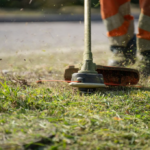 Precision Lawn Edge Trimming Service