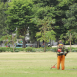 Professional Mowing and Maintenance for Large Open Lawns